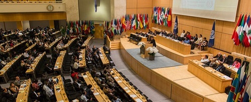 Международные организации в Женеве